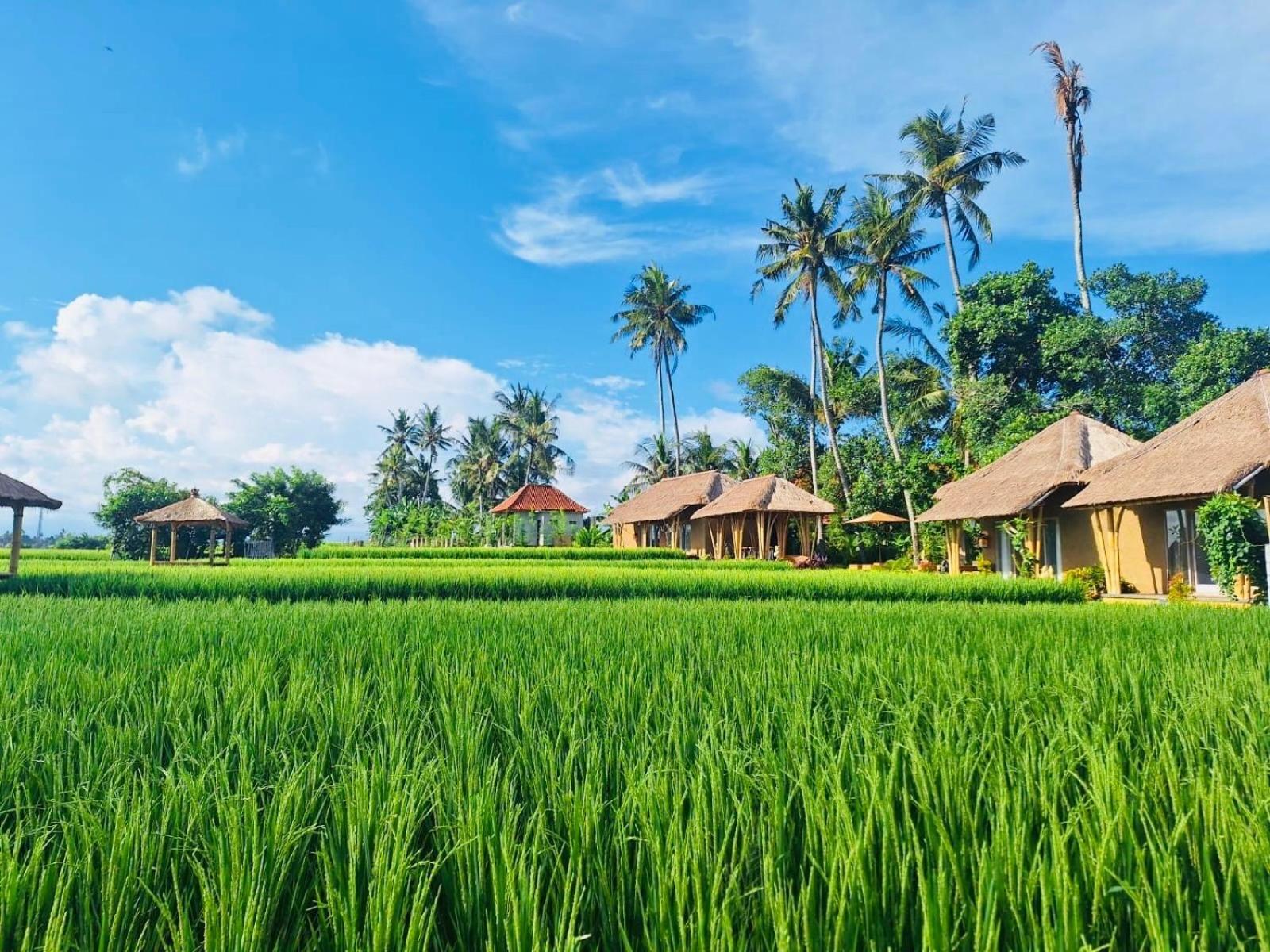 Rumah Kita Ecolodge Ubud Exterior foto